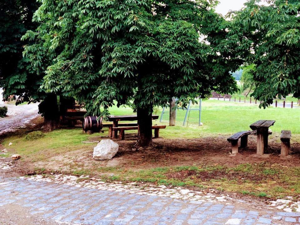 Apartman Nad Vinnym Sklepom Pouzdrany Exterior photo